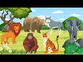 Hewan Buas||Singa,Harimau, Buaya dsb|| Wild Animals|| Lions, Tigers, Crocodiles etc