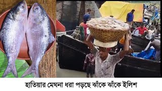 হাতিয়ার মেঘনা ধরা পড়ছে ঝাঁকে ঝাঁকে ইলিশ