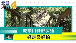 步道 登山|虎頭山6步道串聯  打造生態教育公園