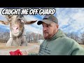 I Never Expected To Be ATTACKED By My Own Animals | Caught On Camera