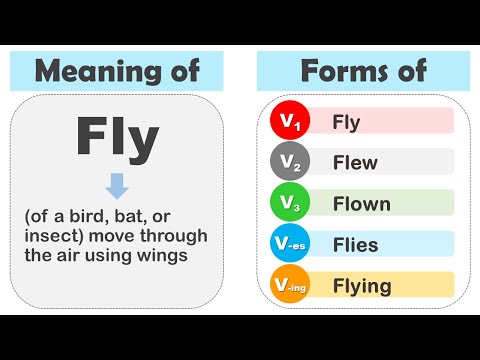 What is the past form of fly?
