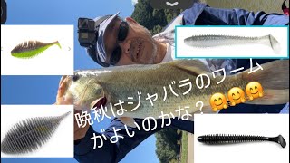 晩秋にブラックバスを絞り出すには❓#チャンネル登録よろしくね #バス釣り #fishing