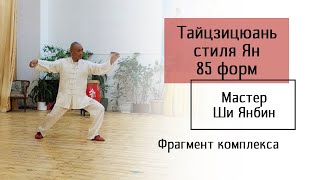 Мастер Ши Янбин, тайцзи ян 85 форм