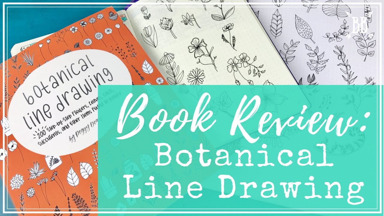 Botanical Line Drawing Online Buy Www Pinnaxis