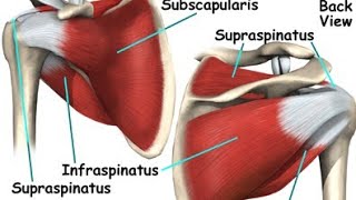 All you need to know about shoulder /ഷോൾഡർ ഇൻജുറി വരാതെ എങ്ങനെ ശ്രദ്ധിക്കാം