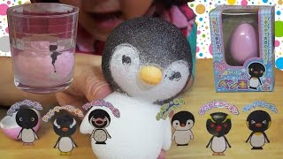 水の中で大きくなるよ！ペンギンのたまご ペン玉 / Penguin Egg Toy