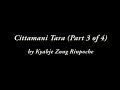 kyabje zong rinpoche cittamani tara part 3 of 4