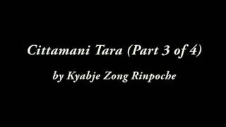 Kyabje Zong Rinpoche - Cittamani Tara (Part 3 of 4)