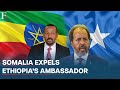 Somalia Expels Ethiopia's Envoy, Shuts Down Consulates Over Somaliland Port Deal Row