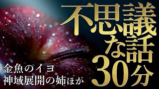 【30分朗読/睡眠導入】不思議な話５話詰め合わせ【女性朗読/2ch/睡眠用/作業用】