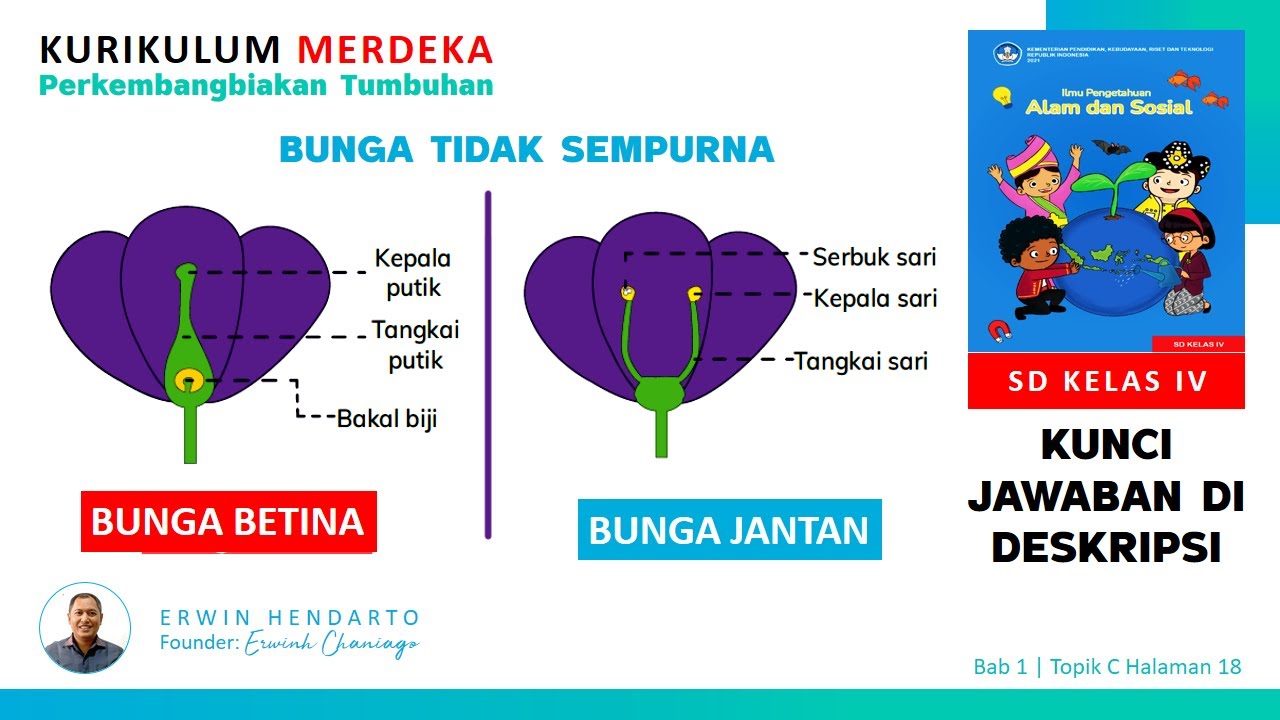 TOPIK C PERKEMBANGBIAKAN TUMBUHAN – BUNGA SEMPURNA & TIDAK SEMPURNA ...