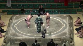 勝誠-栃飛龍/大相撲.2017.1.16(21)/shosei-tochihiryu/day9 #sumo