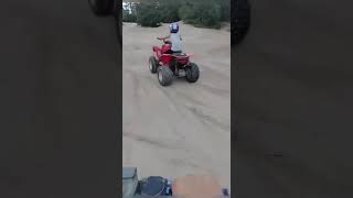 Atv rentals Tampa