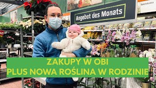 ZAKUPY W ŚWIĄTECZNYM OBI PLUS NOWA ROŚLINA W RODZINIE