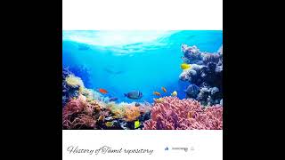 பவளப்பாறைகள்(coral reefs)#shorts #history of Tamil repository