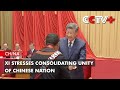 Xi Stresses Consolidating Unity of Chinese Nation