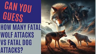 Wolves vs. Dogs: The Real Danger Unveiled! Shocking Statistics!
