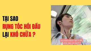 Tại Sao Rụng Tóc Hói Đầu Lại Khó Chữa ? #2