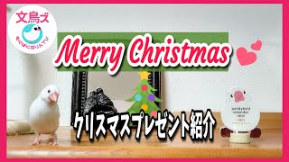 Merry Christmas！嬉しいクリスマスプレゼントを紹介