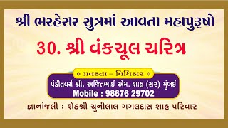 શ્રી ભરહેસર સુત્રમાં આવતા મહાપુરુષોનાં દ્રષ્ટાંતો- 30. શ્રી વંકચૂલ ચરિત્ર #jain #jainchannel