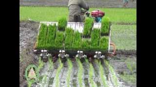 Mechanization of Rice Production- Kannada(Part1) .VOB