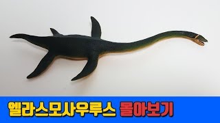 레오팡 공룡스페셜ㅣ엘라스모사우루스 몰아보기 - 초식공룡 육식공룡 바다공룡 익룡 - 공룡노래 공룡동요 공룡송 키즈송 유아동요 동요