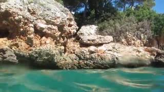 Cormorant fishing Palma de Mallorca Cala Esmeralda