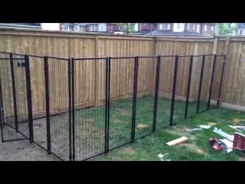 Backyard Renovation Building the Dog Fence part 2 Backyard Renovation Building the Dog Fence part 2