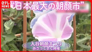 【きょうの1日】「猛暑日」地点数が今年最多に  “日本最大の朝顔市”4年ぶり開催