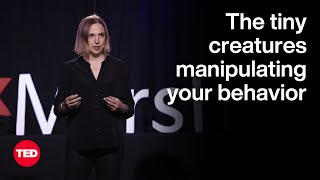 Do Gut Microbes Control Your Personality? | Kathleen McAuliffe | TED