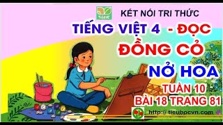 Tiếng Việt 4 Bài 18  Đọc: Đồng cỏ nở hoa | Kết nối tri thức Tuần 10 trang 81 + 82