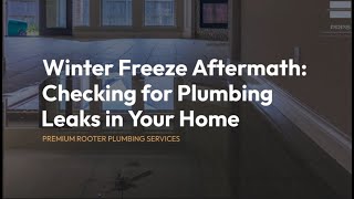 Texas Winter Freeze Aftermath- Fix the Leaks!