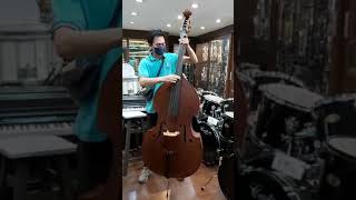 Double Bass ดับเบิลเบส ยี่ห้อ Custom รุ่น SDB 1N