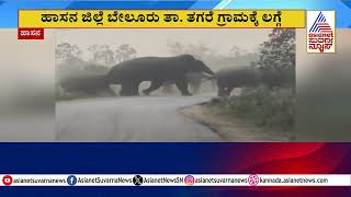 Elephants in Hassan | ಕಾಡಾನೆ ಹಿಂಡು ಎಂಟ್ರಿಯಾಗುತ್ತಿದ್ದಂತೆ ಕಾಲ್ಕಿತ್ತ ಕಾರ್ಮಿಕರು | Suvarna News