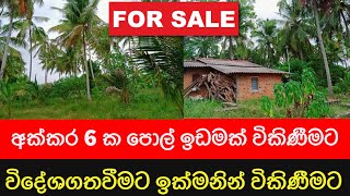 අක්කර 6ක පොල් ඉඩමක් විකිණීමට | land for sale sri lanka | house for sale | kurunagala land for sale