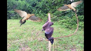 Awesome Quick Bird Perch Snare Trap |The Best Bird Traps in my Village | How To Make A Bird
