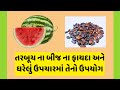 તરબૂચ ખાવાના ફાયદા tarbuch khavana fayda tarbuj ke fayde tarbuj khavana fayda watermelon