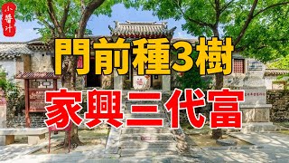 俗話說：“門前種三樹，家興三代富”，這3種旺宅樹，再窮也要種！#生活小醬汁