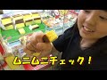 【ＵＦＯキャッチャー】マジ500円で絶対取れるから狙ってみて！！カステラスクイーズがヤバイ！