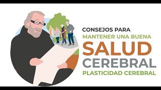 3 PLASTICIDAD CEREBRAL