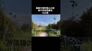 嘉義中埔阿里山公路春不老旁美農地