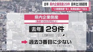 「コロナ禍に対応できなかったケース多いのでは」去年の企業倒産”小規模”多く前年より3割増【佐賀県】 (24/02/13 12:00)