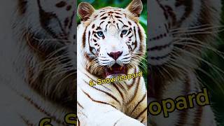 Top 10 Beautiful Animals In The World #shorts #animals #youtubeshorts #top10shorts