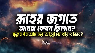 রুহের জগতে আমরা কেমন ছিলাম ? Mizanur_rahman_azhari মিজানুর_রহমান_আজহারী #new_islamic_video_2024