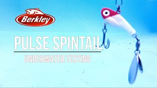 Berkley PULSE SPINTAIL/Bladed fishing lure/ Underwater testing