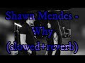 Shawn Mendes - Why (slowed+reverb)