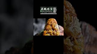 黄油翡翠，看我们如何设计 #翡翠原石 #緬甸翡翠 #jade #翡翠原石直播 #熱門 #玉 #翡翠赌石 #推薦 #珠寶