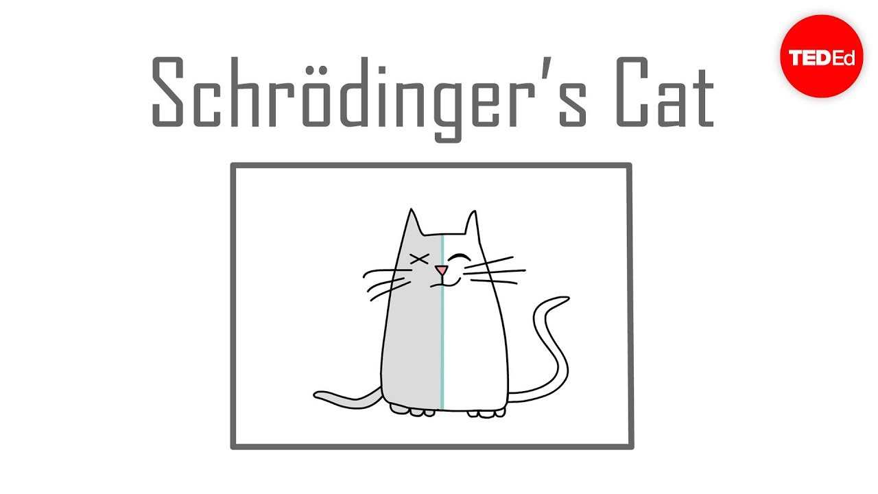 Schrödinger's Cat: A Thought Experiment In Quantum Mechanics - Chad ...