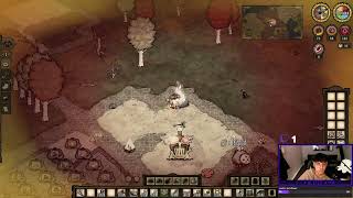 Live Don't Starve Together 21/11/2024