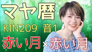 【神回】「あなたの使命はコレです！」マヤ暦【KIN209】赤い月 赤い月 音1 開運ポイント